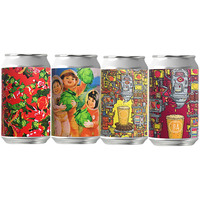 ERGOUPUB 组合装 国产精酿啤酒  1x6x330ml 包装 330ml