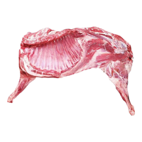 鲁禧海岸内蒙羔羊羊肉 半只羊礼盒 羊腿羊蝎子生鲜烧烤食材 法式战斧羊排 【10斤礼盒】半只精修乳羔羊