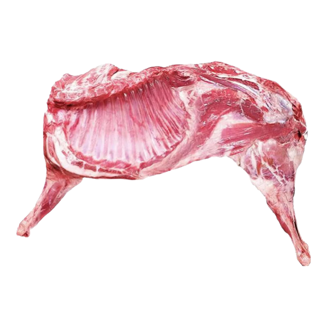 鲁禧海岸 内蒙羔羊羊肉 净重5kg