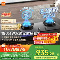 米家 MIJIA MJ03CY 燃气灶 P1 天然气