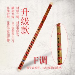 杉贝 SANBER 适用于笛子 小学生儿童成人初学者入门横笛教学吹演奏笛子乐器 升级款-F调(初学)