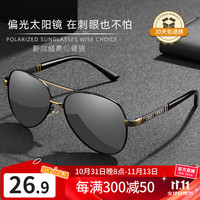 移动端、京东百亿补贴：LESCA LUNETIER 男款防紫外线偏光太阳镜 黑金框变色片（日夜两用）