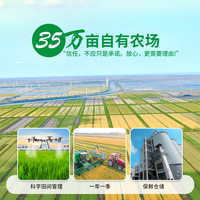  瀛丰五斗 2024年新米 崇明银香大米