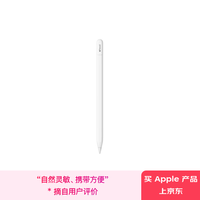 苹果 Apple Pencil 手写笔（USB-C）