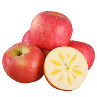 静益乐源 新疆大漠冰糖心苹果 净重4.5斤小果单果70-75mm