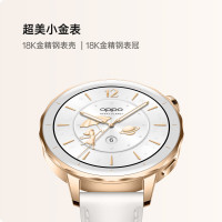国家补贴：OPPO Watch X2 Mini 蓝牙智能手表 43mm 皓月银 氟橡胶表带