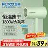 飞科 护发电吹风机家用速干便携宿舍低噪音冷热风大功率吹风筒PH1623/FH6296/6290 飞科博锐PH1623