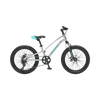 萌大圣 铝合金青少年山地自行车18寸/20寸/24寸 22寸 闪银色