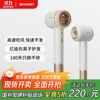 夏普 高速吹风机家用 大功率负离子电吹风低噪音护发风筒高速风干不伤发山姆同款IB-RP47C-C