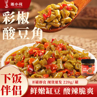 莲小花 彩椒酸豆角220g缸豆酸豆角下饭菜即食拌饭拌面开胃咸菜酱腌菜罐装 彩椒酸豆角220g