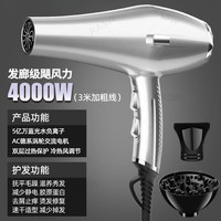 RASW 德国电吹风机理发店专用发廊专用大风力静音家用离子护发大功率不伤发