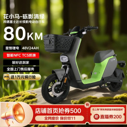 花小马 电动自行车M11H48v24ah星恒锂电采销实测续航对置双缸前碟刹TCS防滑NFC 车架终生质保 砾影清绿