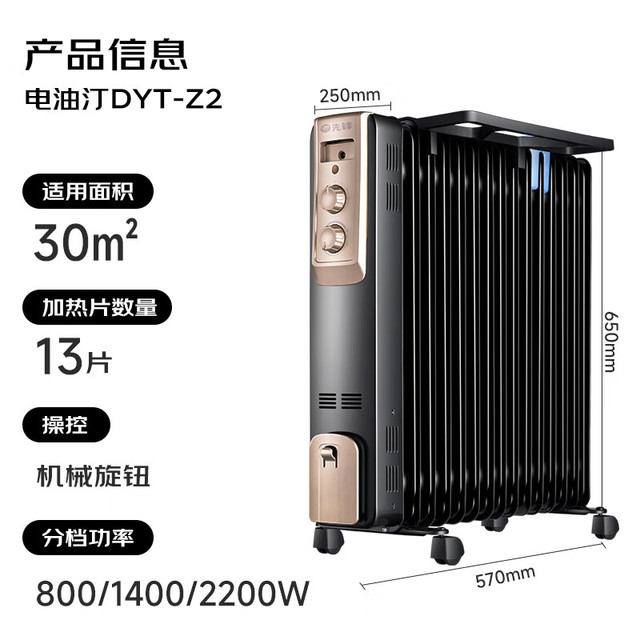 先锋 DYT-Z9 电热油汀 13片