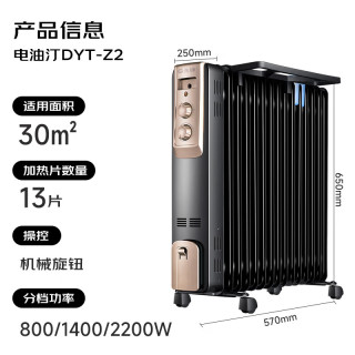 先锋 DYT-Z9 电热油汀 13片