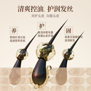  QINYE/琴叶 强根育发 防脱洗发水  450ml