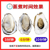百鲜洽乳山生蚝鲜活特大牡蛎带壳生吃海蛎子新鲜海鲜水产贝类聚会烧烤 【90%选择】4XL带箱5斤(约10-13只)