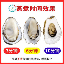百鲜洽 乳山生蚝鲜活特大牡蛎带壳生吃海蛎子新鲜海鲜水产贝类聚会烧烤 4XL净重5斤(约12-16只)