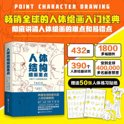 人体结构绘画重点 人体结构 人体绘画 崔元喜