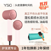 YSC 头皮健康不伤发吹风机细软发质家用大风力负离子护发速干高速电吹风几乎0辐射 卡布奇诺