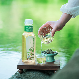 农夫山泉 东方树叶陈皮白茶味茶饮料 500ml*15瓶