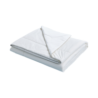 8H Cool Fresh 100%纯蚕丝凉感面膜夏被 150