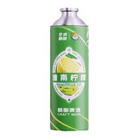  艺术精酿 精酿啤酒  1x6x990ml 听装 990ml