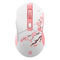 Dareu 达尔优 EM901 2.4G 双模无线鼠标 6000DPI RGB