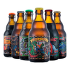 Enigma（密码法师）比利时风格精酿啤酒混合装330ml*6瓶（金啤+IPA+三料+四料+世涛）整箱装