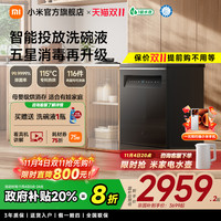 米家 MIJIA S10系列 QMDW1606M 独嵌两用式洗碗机 16套 深灰色