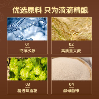 奥丁格 世涛黑啤酒 500ml*12罐 礼盒装