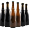  ERGOUPUB 比利时精酿啤酒  0x6x330ml 330ml*6 包装