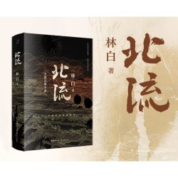 网 北流 2022年深圳读书月十大好书 华语文学传媒大奖、老舍文学奖得主林白沉潜八 林白