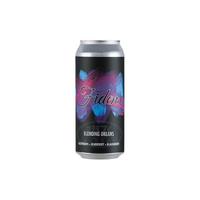 Fidens 费登斯 贾斯帕 尼尔森啤酒 473ml