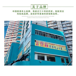 金寶金宝薄荷绿水+全能绿水拖地花露水杀菌去味地板清洁剂香港牌 1L 1桶 薄荷绿水+1L1桶全能绿水