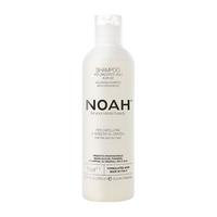 Noah洗发水 控油蓬松去屑玻尿酸无硅油丰盈 控油蓬松一瓶250ml