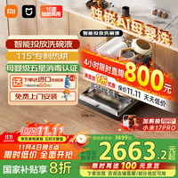 米家 MIJIA S10系列 QMDW1606M 独嵌两用式洗碗机 16套 深灰色