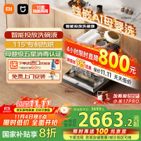 MIJIA 米家 S10系列 QMDW1606M 独嵌两用式洗碗机 16套 深灰色