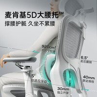 国家补贴：黑白调 P2 Ultra 人体工学电脑椅 霜白