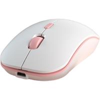 DUOHAO 多豪 H3 2.4G 无线鼠标 1600dpi RGB