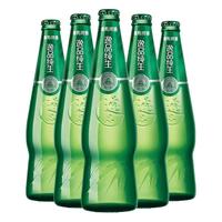 TSINGTAO 青岛啤酒 逸品纯生 啤酒