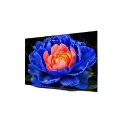 TCL 85T5M系列 液晶电视
