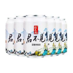或不凡 国产精酿啤酒 浑浊双倍IPA啤酒 黄河之水 500mL 24罐 浑浊双倍IPA