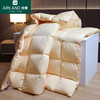 AIRLAND 雅兰 羽绒被柔赛丝95鹅绒被加厚保暖冬被蓬松透气春秋被单双人居家被芯 柔赛丝鹅绒被鹅黄