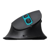 SANWA SUPPLY 人体工学无线双模鼠标 Type-c/USB双接收器 轻音按键 蓝光LED GMADW8 Type-c/USB无线双模 高位款