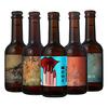  Postwave Brewing/厚浪 鲜啤原浆 果味精酿啤酒  1x6x330ml 包装 330ml