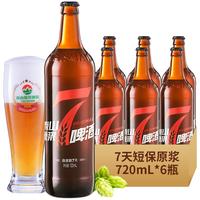 TAISHAN 泰山啤酒 泰山原浆啤酒7天10°P红七原浆精酿啤酒整箱白啤720ml*6