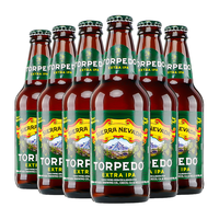 Sierra Nevada 内华达山脉 鱼雷 美式IPA啤酒 355ml*6瓶