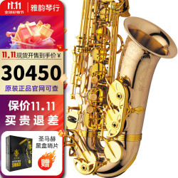 柳泽 日本柳泽 原装进口 正品萨克斯  AW020中音