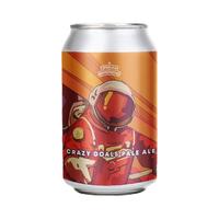 梦想酿造 淡色艾尔 啤酒 330ml*6瓶