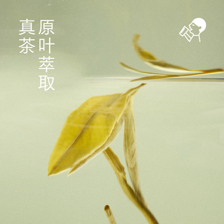 喜茶 牛乳茶 350ml*15瓶 茶类饮料